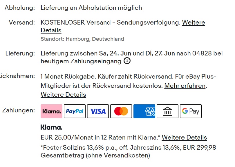 Der Screenshot zeigt die Lieferkonditionen und Zahlungsoptionen für eine Digitalkamera auf eBay